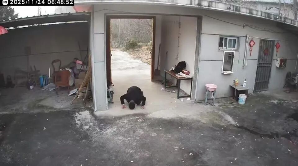 80后男子跪别已无亲人的老宅：约一年无人居住，没有父母后感觉家不再是家，磕头向着父亲遗像的方向