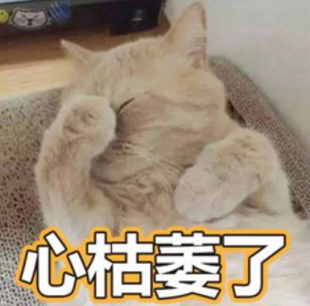 婚后丈夫以我名义贷款未还，他父母还向我们借钱还债，现在我起诉离婚，能否要求丈夫赔偿？