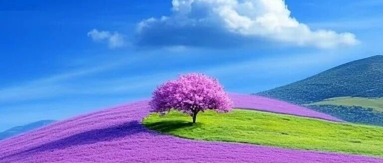 七言｜如果你怕鬼，那我带你看看人心