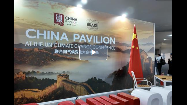 Insights丨How an African economist saw China anew at COP30