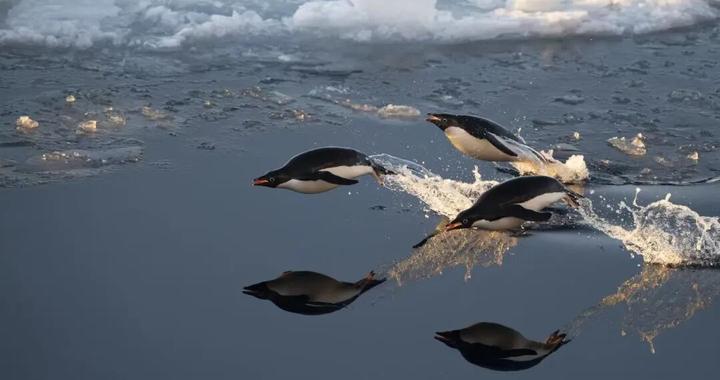 老俞闲话丨新东方32岁生日快乐!