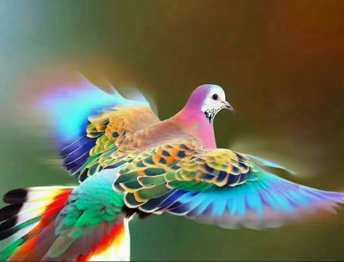 星座超话转发接彩运许愿活动开启