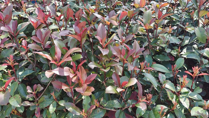 74岁老人的忠告：这辈子最不值的，就是为这5件事耗尽心神