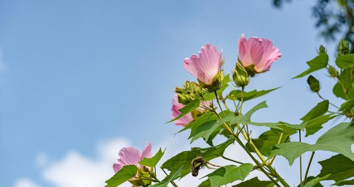 女人，你想知道他是不是好男人，看一处细节