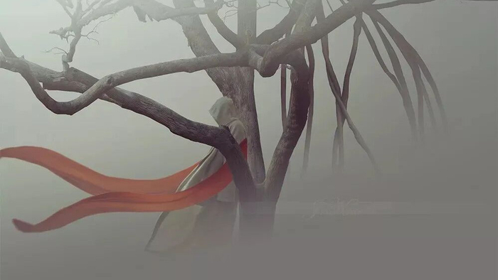 原创|做人有五不问（精辟）