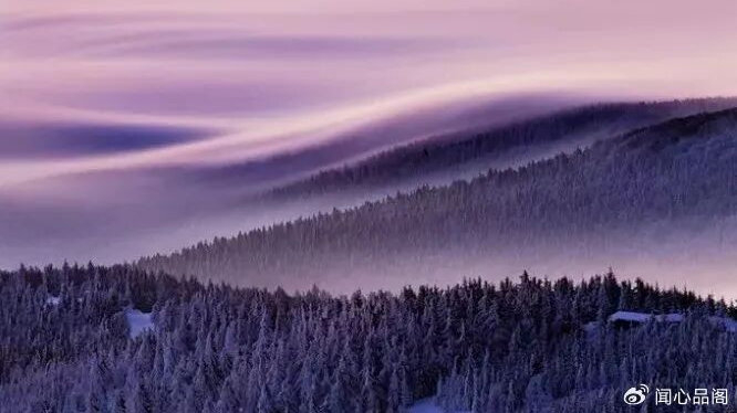 原创|一个家庭最大的悲哀，不是没钱，而是老人开口闭口便是这两句话