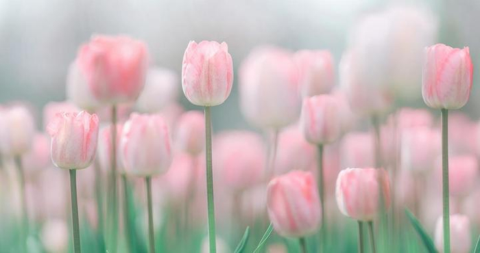 一个男人,如果主动和你断联,你可以这么应对