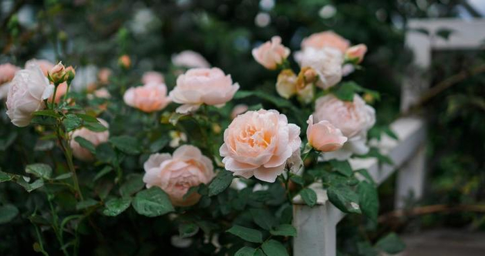 等到男人真的想和你离婚,你才会明白以下几个道理