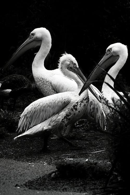 真疼你的男人让你活成自己而非公主