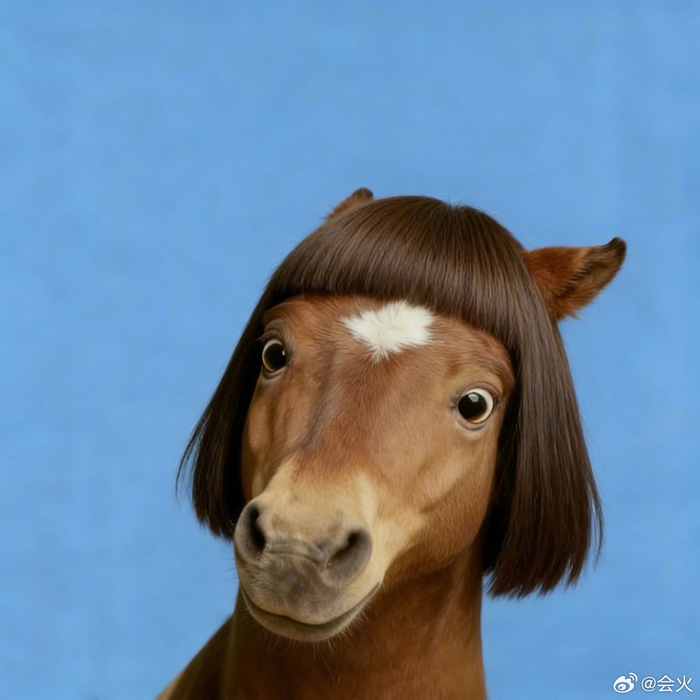 马年本命年头像上线引关注