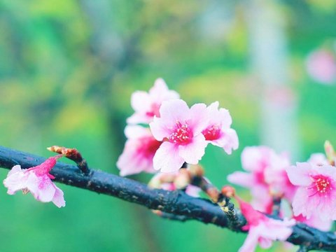 钱财累积快速，未来衣食无忧的四个星座，日子没压力