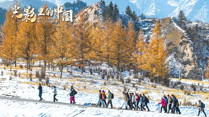 网友用老己自称表达爱自己，年底请夸夸老己