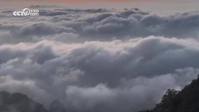 变局与坚守｜中国外交的时代应答