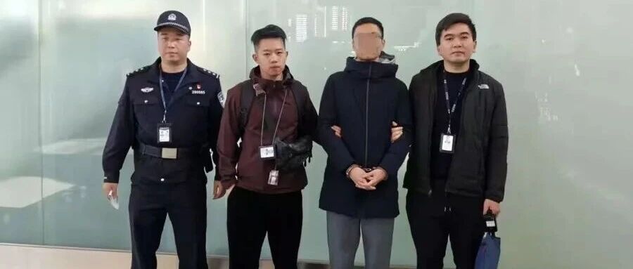 三名“00”后被刑拘,其中一名是数学系博士
