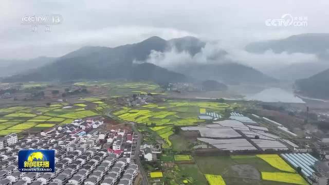 [视频]2025年我国农村网络零售额首破3万亿元