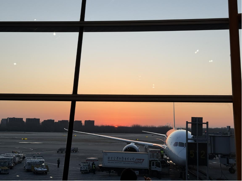 新春走基层·见喜｜留学生表妹的春节执念