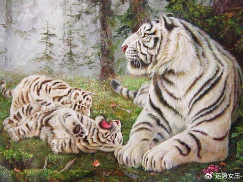 自带贵气,职场上压力更小,赚钱和发展在马年加快的四个属相