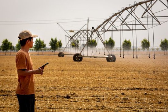 大学排名攀升,“这是中国30年持续、有针对性投资的结果”