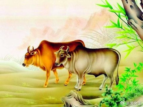 从不计收获反而更大，赚钱随着年岁增长变得简单的4种生肖