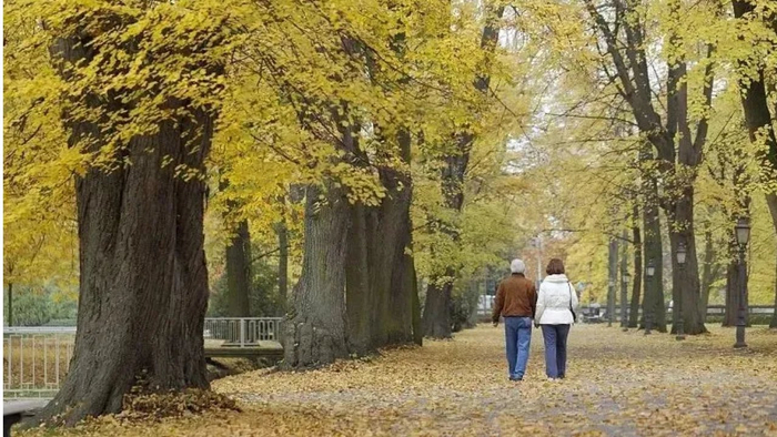 若你有退休金：儿女送东西就尽量用，但钱你别花，都给儿女存起来