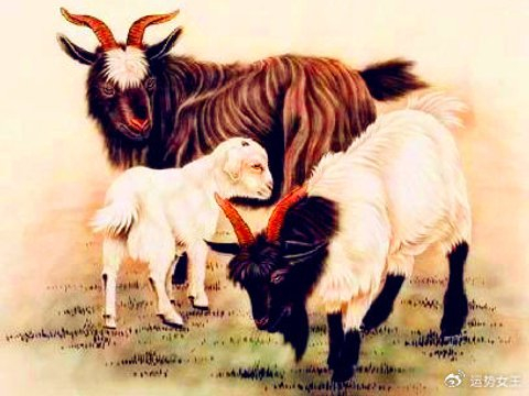 以德服人,收获进步,4月到5月没有一天缺钱,幸运常在的生肖